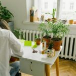 Tips for Creating a Cozy and Inviting Home Office Space
